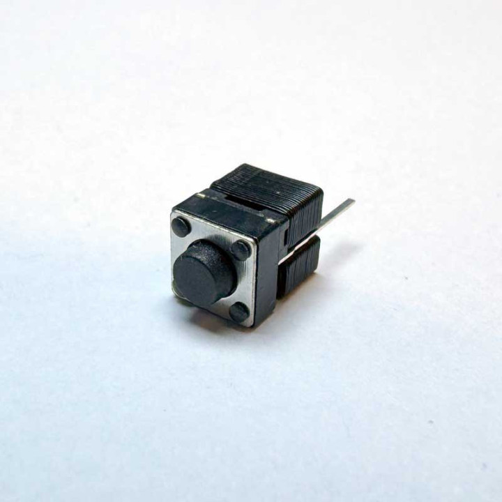 BERNINA 1070-1630 Reverse switch
